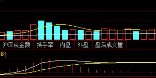 配资网：投资新手的福音与挑战